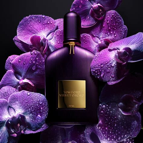 tom ford velvet orchid fragrantica|tom ford velvet orchid smell.